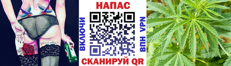 Купить закладки  Приволжск  Бошки марихуана White Widow 